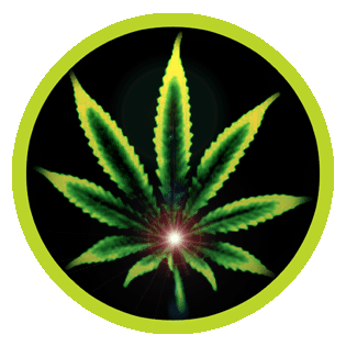 amsterdam-cannabis-ministry.gif